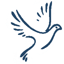 Igreja Pentecostal Aviva Brasil